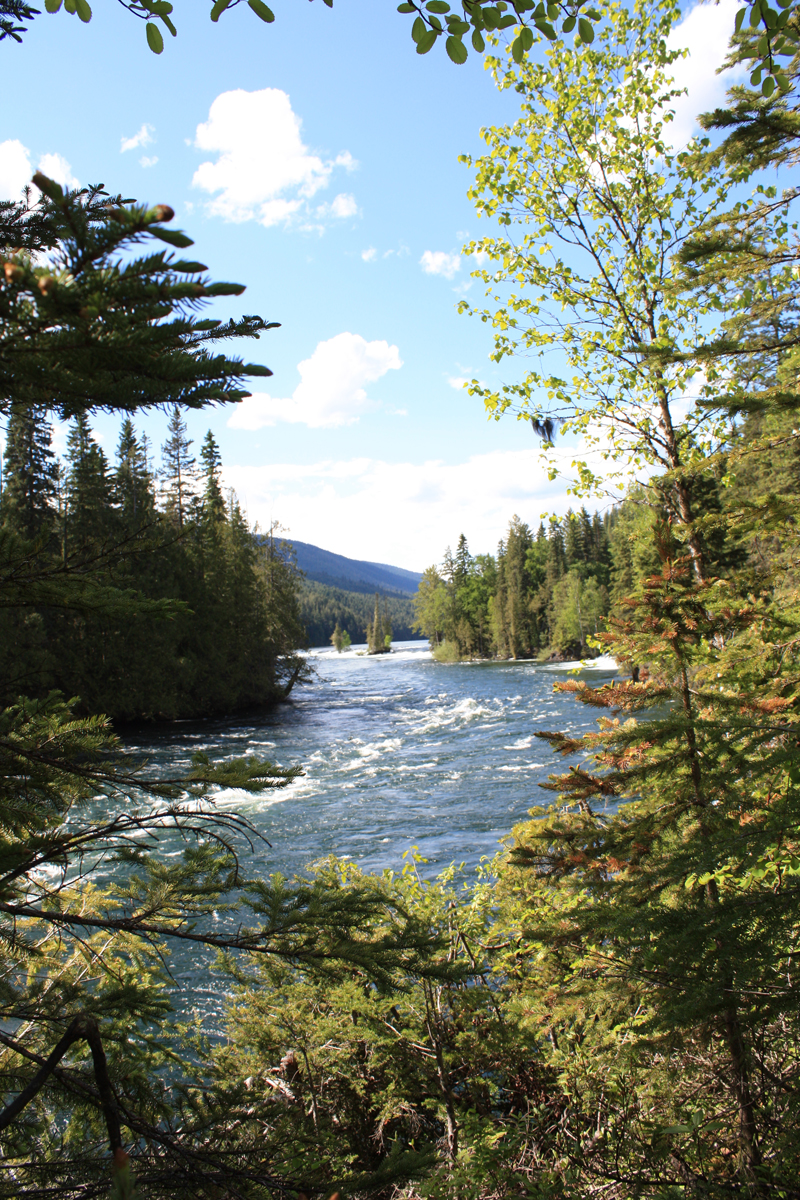 Osprey Falls