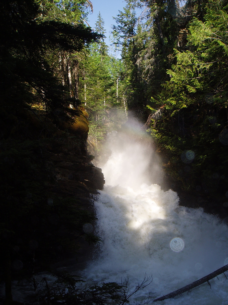 Sticta Falls