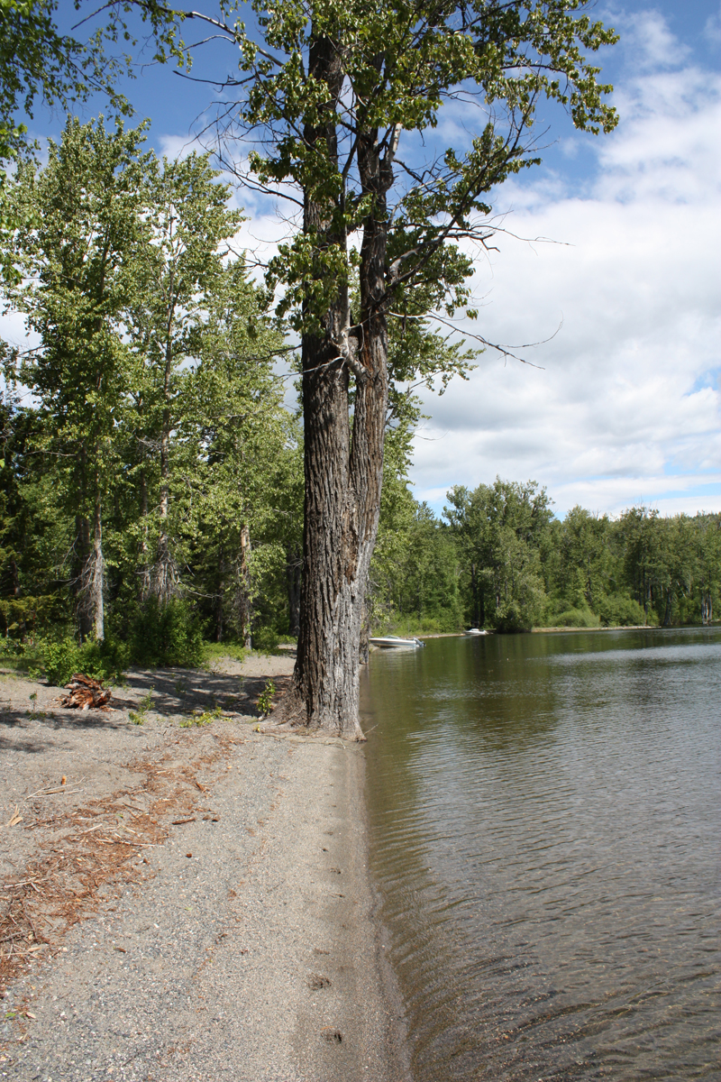 Mahood Lake