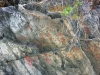 Mahood Lake petroglyphs