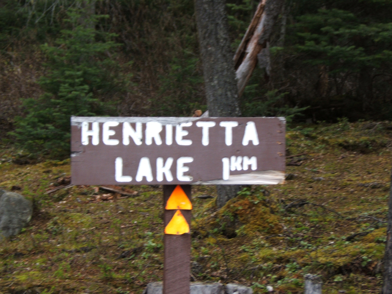 Henrietta Lake trail sign between Site 2 and 3