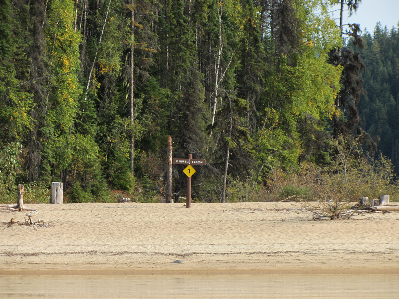 Site 1 - Murtle Lagoon North