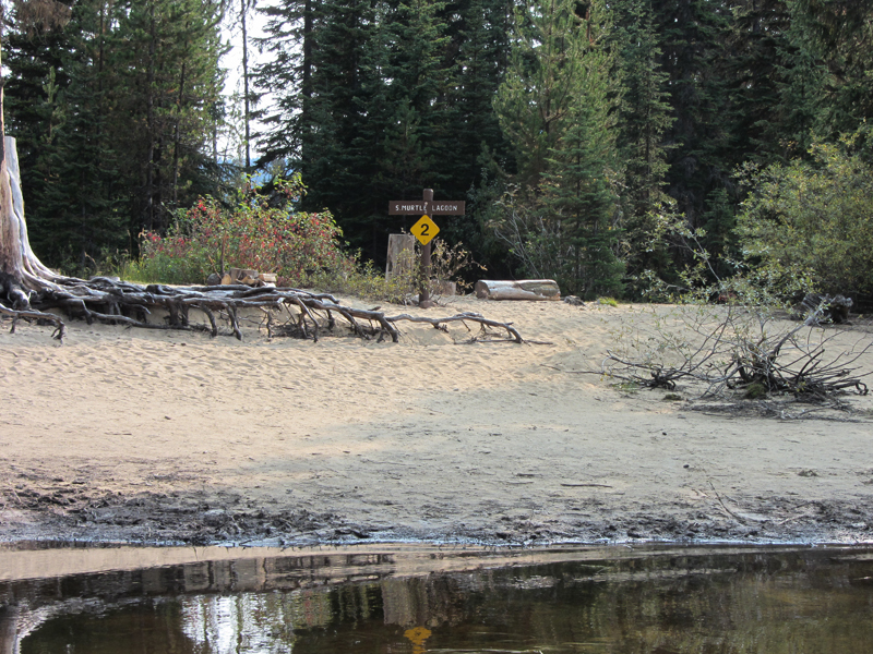 Site 2 - Murtle Lagoon South (group site)