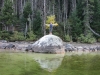 Site 3 - Sandy Point boulder in fall