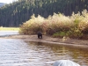 Murtle beach bear 3