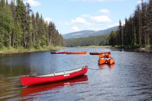 Murtle Canoes